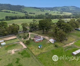 Rural / Farming commercial property sold at 207 Sandy Creek Road Mount Vincent NSW 2323