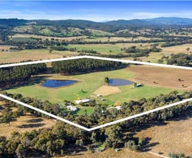 Rural / Farming commercial property for sale at 354 Shaws Road Merton VIC 3715