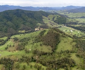 Rural / Farming commercial property for sale at 141 Khatambuhl Creek Road Mount George NSW 2424