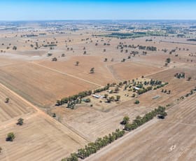 Rural / Farming commercial property for sale at 518 Drain Lane Collendina NSW 2646
