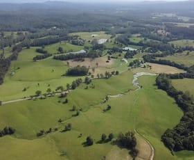 Rural / Farming commercial property for sale at 87 Searles Rd Tamban NSW 2441