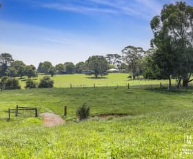 Rural / Farming commercial property for sale at 4985 Illawarra Highway Robertson NSW 2577