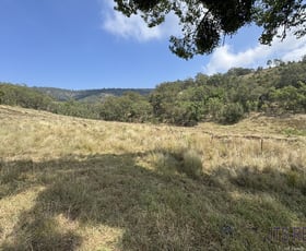 Rural / Farming commercial property for sale at 1955 Pembroke Road Cassilis NSW 2329