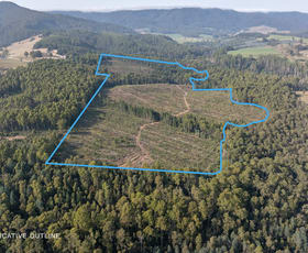 Rural / Farming commercial property for sale at Lot 1 East Maurice Road Talawa TAS 7263