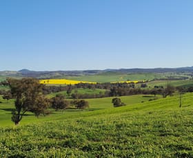 Rural / Farming commercial property for sale at 4781 Muttama Road Cootamundra NSW 2590