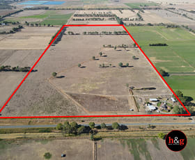 Rural / Farming commercial property for sale at 669 Hill Road Stanhope VIC 3623