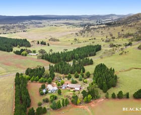 Rural / Farming commercial property for sale at 579 Jerangle Road Bredbo NSW 2626