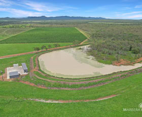 Rural / Farming commercial property for sale at 398 Leadingham Road Dimbulah QLD 4872