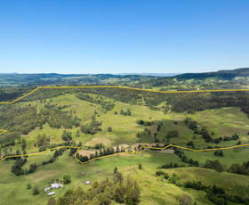 Rural / Farming commercial property for sale at 665 Theresa Creek Road Theresa Creek NSW 2469