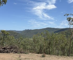 Rural / Farming commercial property for sale at 2033 Paynes Crossing Rd Paynes Crossing NSW 2325