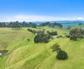 Rural / Farming commercial property for sale at 295 Mountain View - McDonalds Track Mountain View VIC 3988