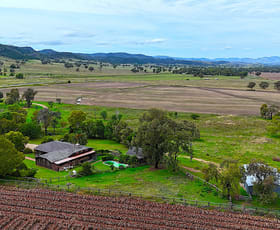 Rural / Farming commercial property for sale at 1123 Kamilaroi Highway Quirindi NSW 2343