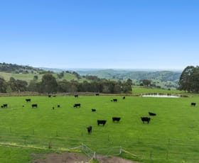 Rural / Farming commercial property for sale at 49 Creek Junction Road Kithbrook VIC 3666
