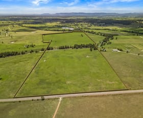 Rural / Farming commercial property for sale at 321 Mitchells Flat Road Singleton NSW 2330
