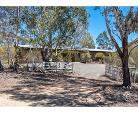 Rural / Farming commercial property for sale at 100 Royals Road Mount Pleasant SA 5235
