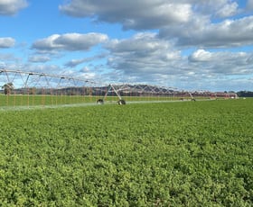 Rural / Farming commercial property for sale at 929 Old Narrandera Road Wagga Wagga NSW 2650