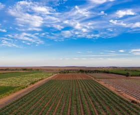 Rural / Farming commercial property for sale at 124 South River Road Carnarvon WA 6701