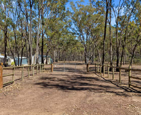 Rural / Farming commercial property for sale at 305 Cherry Tree Road Bailieston VIC 3608