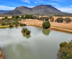 Rural / Farming commercial property for sale at 3100 Maroondah Highway Taggerty VIC 3714
