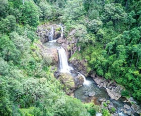 Rural / Farming commercial property for sale at Dorrigo NSW 2453