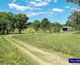 Rural / Farming commercial property for sale at 619 Mountain Valley Road Wellington NSW 2820
