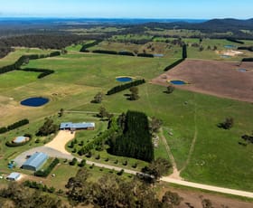 Rural / Farming commercial property for sale at 16323 Hume Highway Marulan NSW 2579