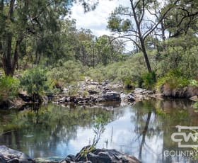 Rural / Farming commercial property for sale at 75, - Gulf Rd Emmaville NSW 2371