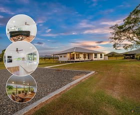 Rural / Farming commercial property for sale at 163 Degilbo Mines Road Degilbo QLD 4621