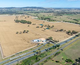 Rural / Farming commercial property for sale at 61 Rodgers Road Gerogery NSW 2642