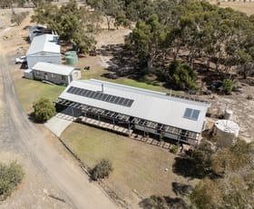 Rural / Farming commercial property for sale at 1202 Winiam East Road Nhill VIC 3418