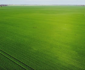 Rural / Farming commercial property for sale at Minyip VIC 3392