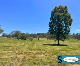 Rural / Farming commercial property for sale at 2/10350 Mount Lindesay Highway Rathdowney QLD 4287