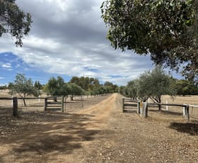 Rural / Farming commercial property for sale at 30803 Albany Highway Mount Barker WA 6324