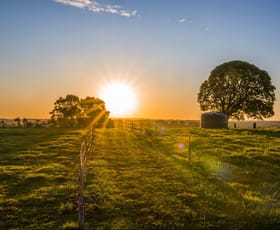 Rural / Farming commercial property for sale at 79 Johnston Road Clunes NSW 2480