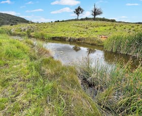 Rural / Farming commercial property for sale at "Cummings Gap" Ullamalla road Mudgee NSW 2850