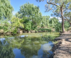 Rural / Farming commercial property for sale at 1089 Henry Lawson Way Young NSW 2594