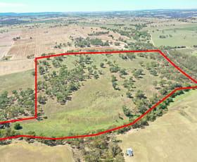 Rural / Farming commercial property for sale at 1089 Henry Lawson Way Young NSW 2594