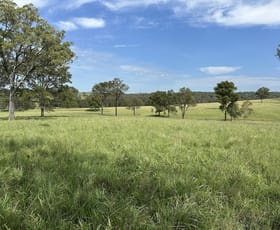 Rural / Farming commercial property for sale at Singleton NSW 2330