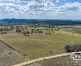Rural / Farming commercial property for sale at 1975 Nullamanna Road Inverell NSW 2360