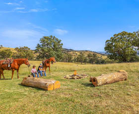 Rural / Farming commercial property for sale at 830 Weabonga Road Weabonga NSW 2340