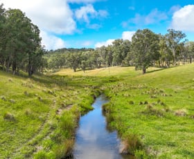 Rural / Farming commercial property for sale at 830 Weabonga Road Weabonga NSW 2340