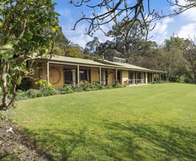 Rural / Farming commercial property for sale at 210 Red Hill Road Red Hill VIC 3937