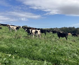 Rural / Farming commercial property for sale at 611 Montumana Road Montumana TAS 7321