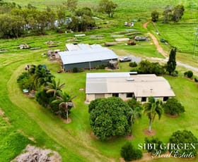 Rural / Farming commercial property for sale at 994 Leafgold Weir Road Dimbulah QLD 4872