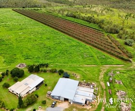 Rural / Farming commercial property for sale at 994 Leafgold Weir Road Dimbulah QLD 4872