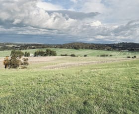 Rural / Farming commercial property for sale at Lot 20 Macdonald Rd Stanley Flat SA 5453