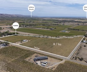 Rural / Farming commercial property sold at Lot 1 Pethick Road Whites Valley SA 5172