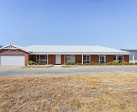 Rural / Farming commercial property for sale at 133 Jensens Road Kamarooka VIC 3570