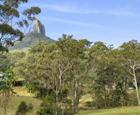 Rural / Farming commercial property for sale at 319 Mount Beerwah Road Glass House Mountains QLD 4518