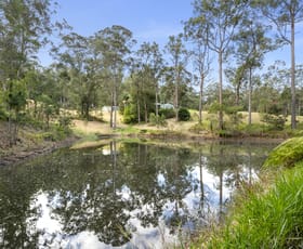 Rural / Farming commercial property for sale at 319 Mount Beerwah Road Glass House Mountains QLD 4518